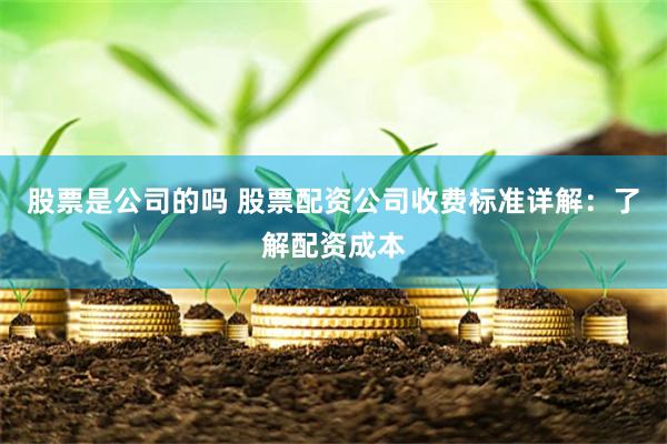 股票是公司的吗 股票配资公司收费标准详解：了解配资成本