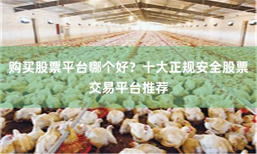 购买股票平台哪个好？十大正规安全股票交易平台推荐